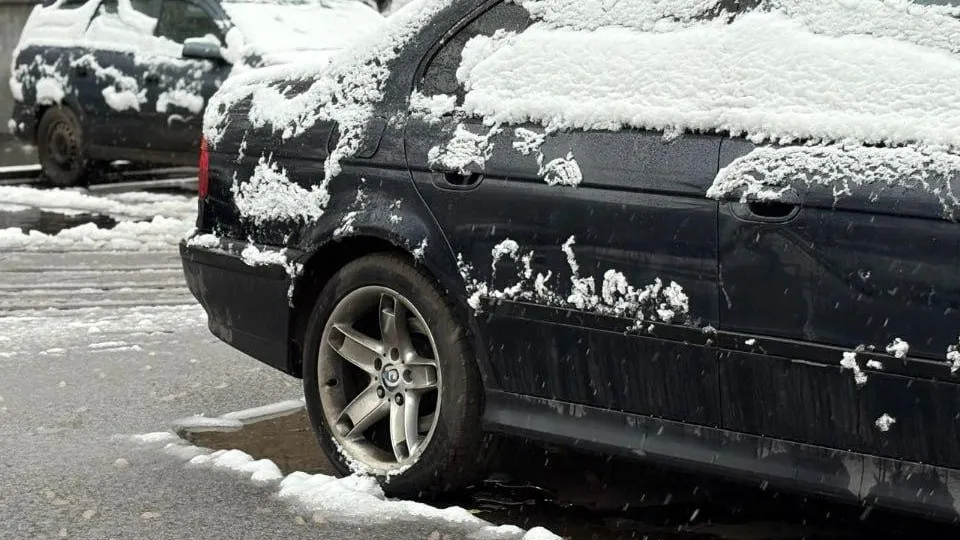 REGIONS/Полина Крачун