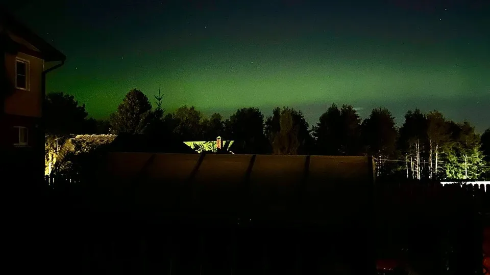 Фото: предоставлено очевидцем