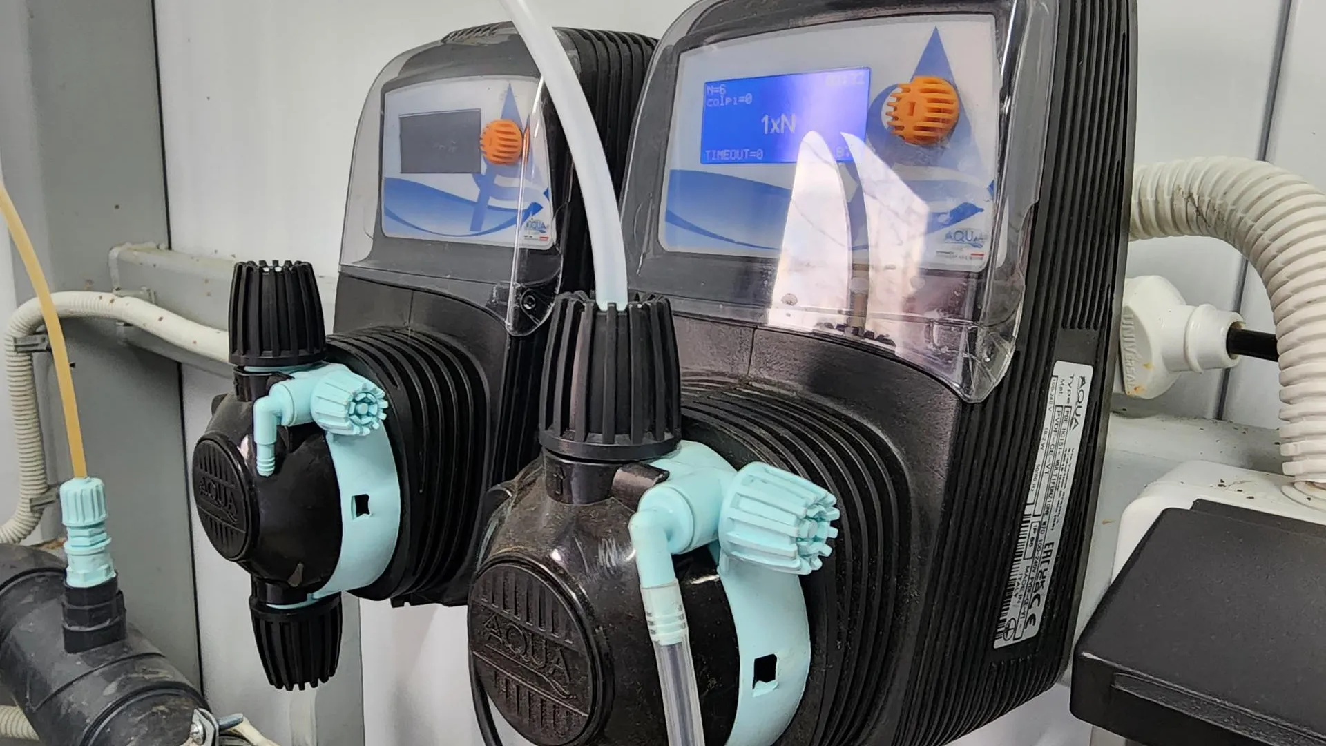 Екатерина Данилина