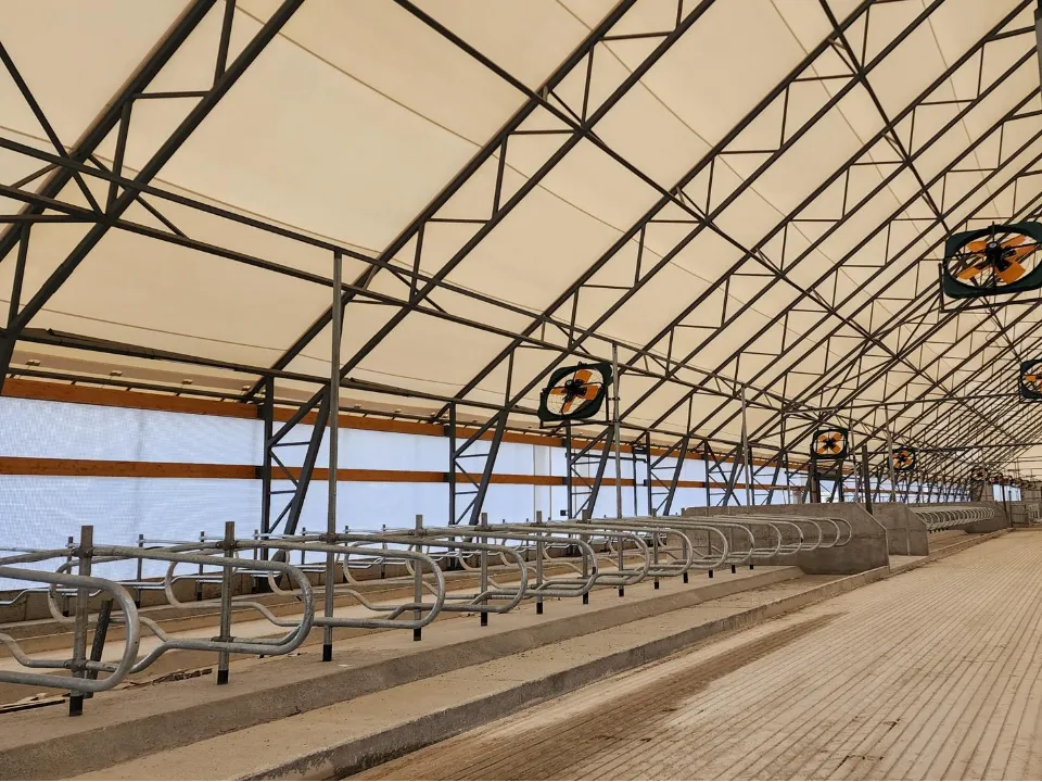 Фото: МедиаБанк Подмосковья/Анастасия Сараева