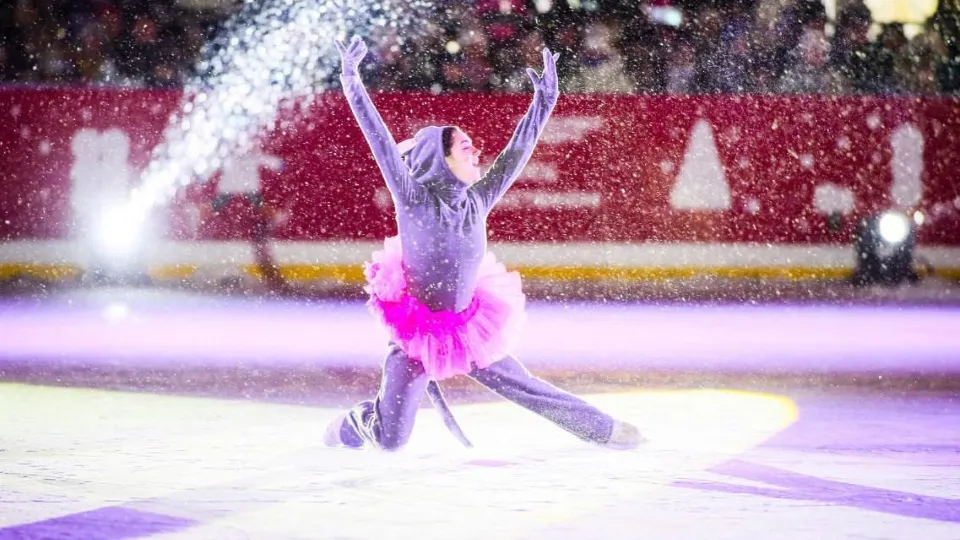 Фото: Администрация г.о. Чехов