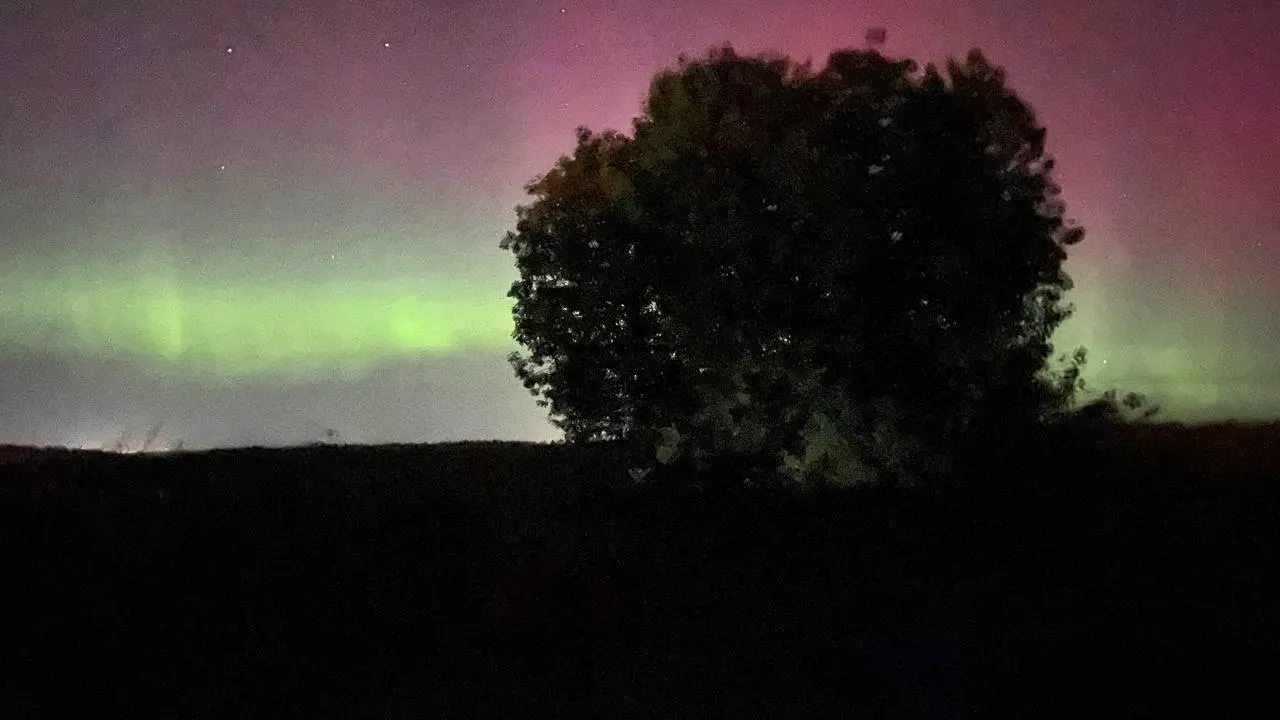 Дарья Леонова