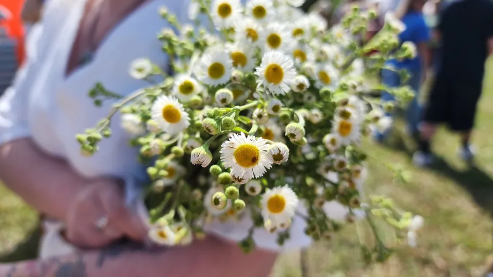 Фото: МедиаБанк Подмосковья/Ольга Сычева