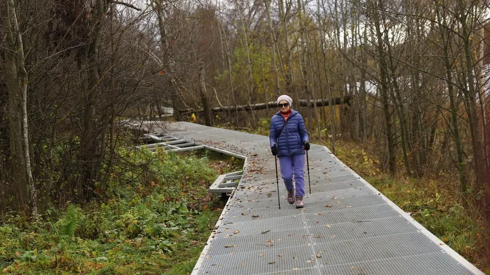 Фото: пресс-служба администрации г.о. Солнечногорск