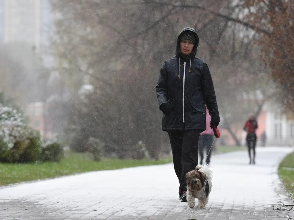 Пора менять резину: прогноз погоды в Москве и Московской области на неделю с 14 по 17 октября