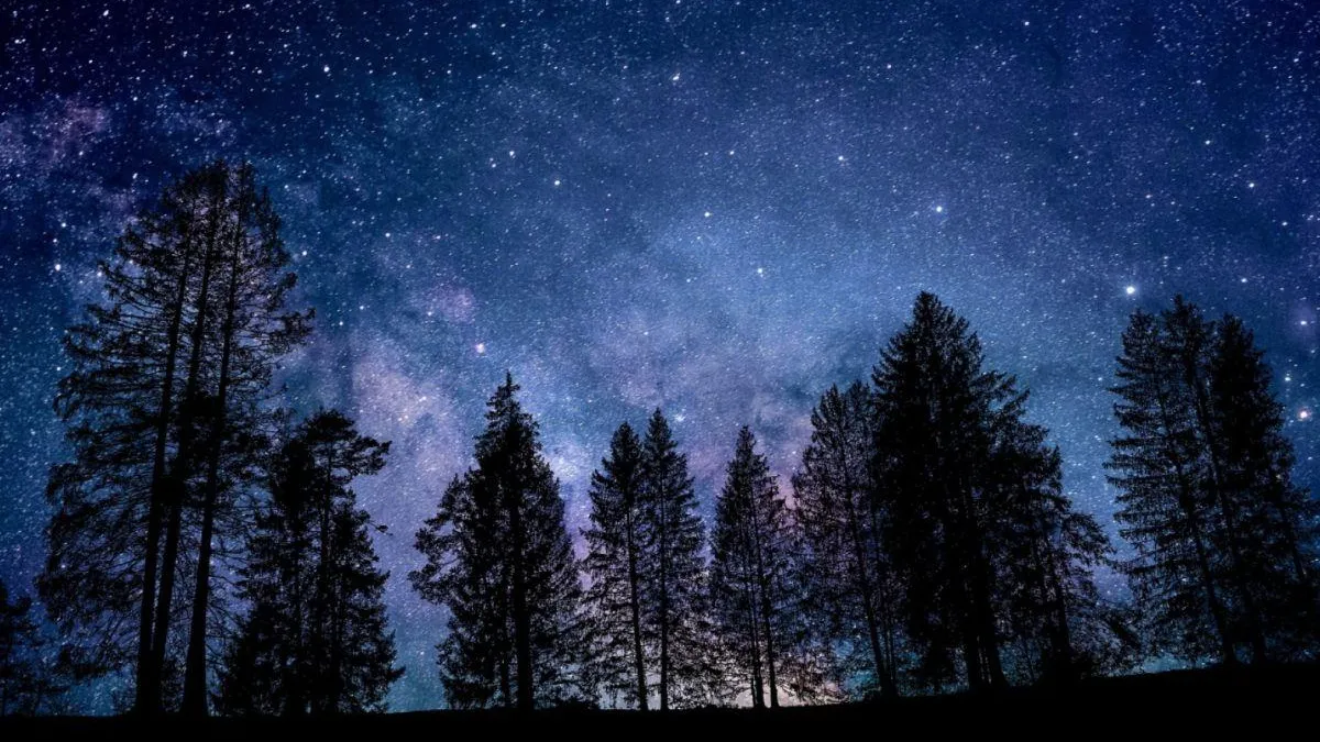 Фото: Pixabay.com