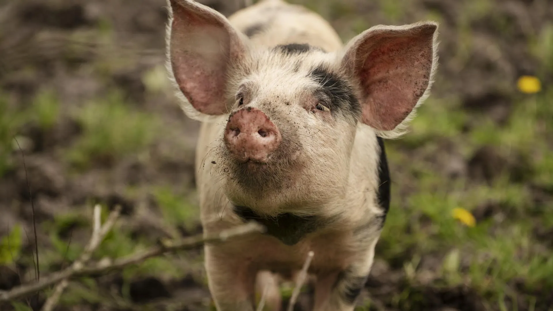 Источник: freepik.com