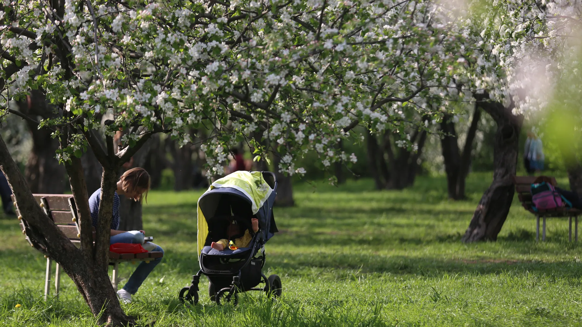 Врач объяснил, почему нельзя гарантированно зачать близнецов даже с помощью ЭКО