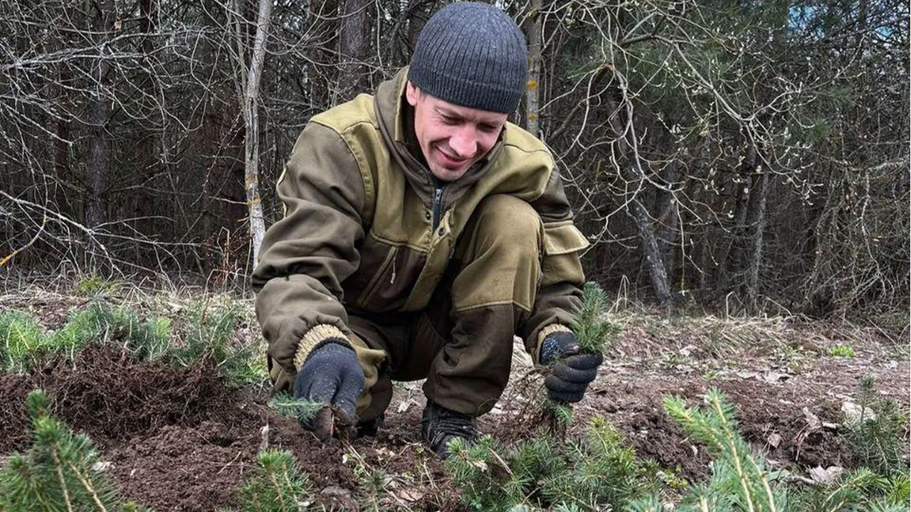 Фото: Комитет лесного хозяйства МО