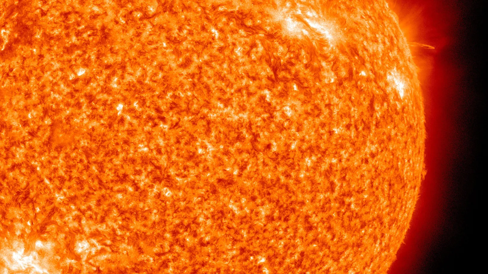 Фото: pxhere.com