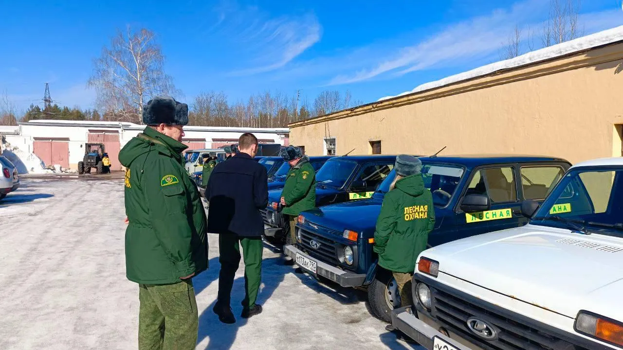 Фото: Комитет лесного хозяйства Московской области