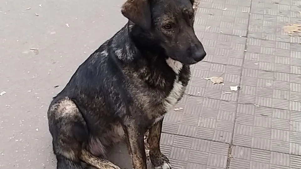 Фото: личный архив Юлия Ларина