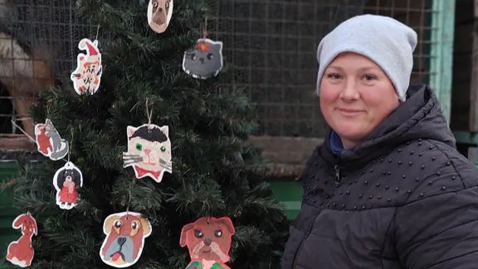 Фото: «приют Некрасовка»