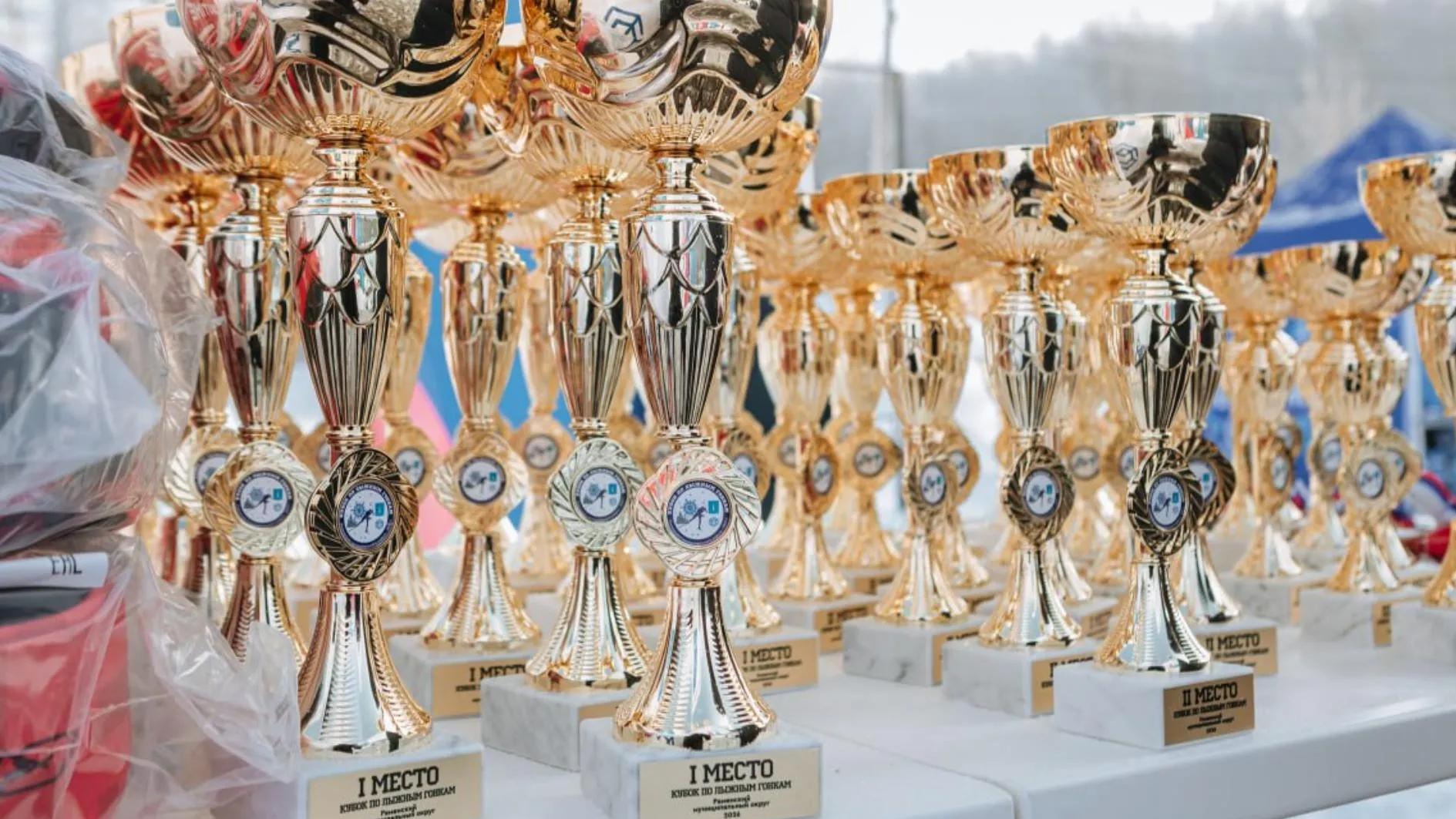 Фото: Раменский медиацентр