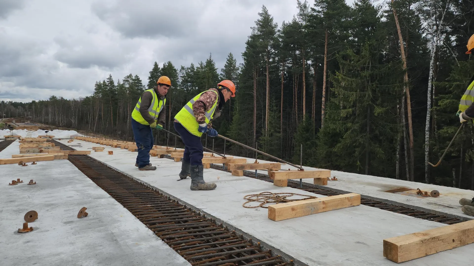 Фото: Артем Мишуков