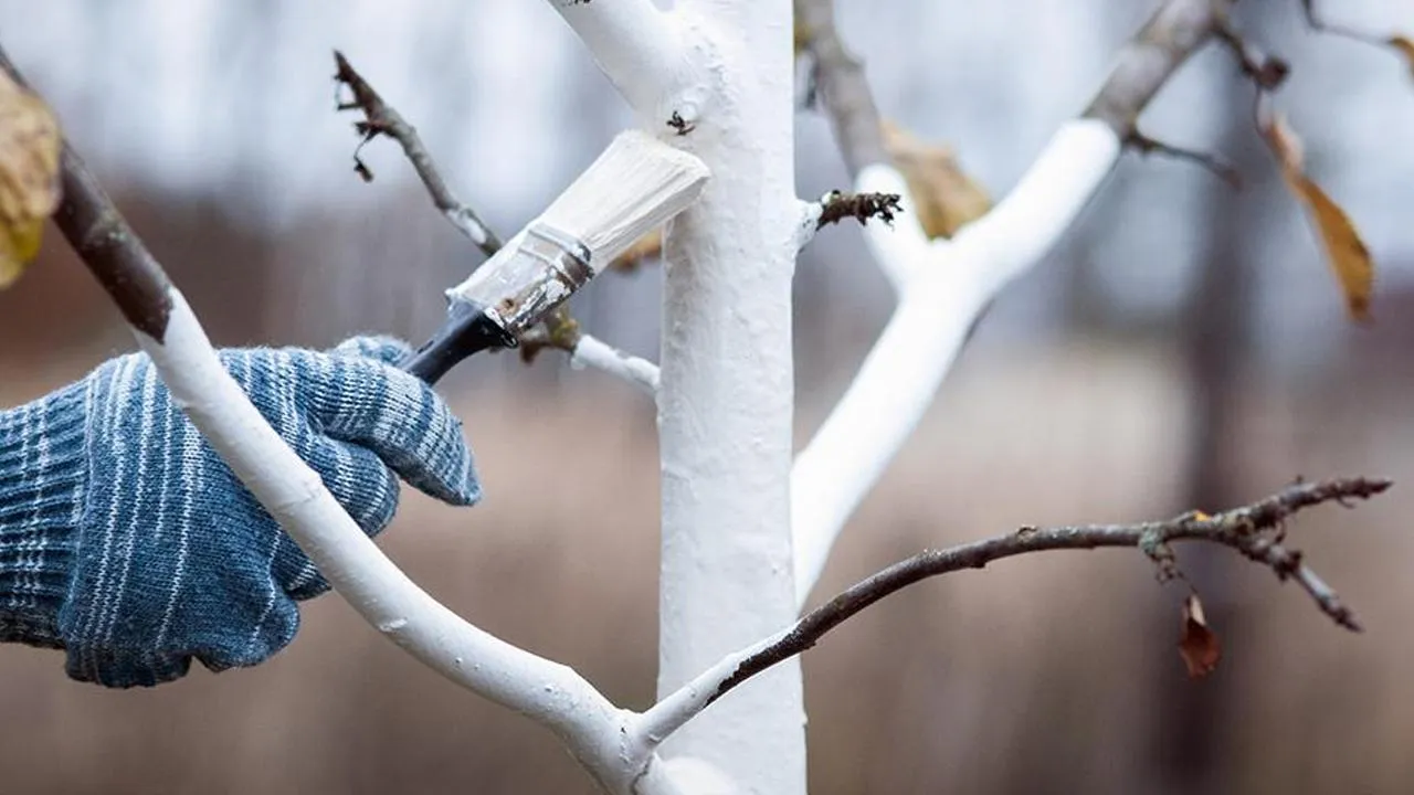 istockphoto.com/Nadya So