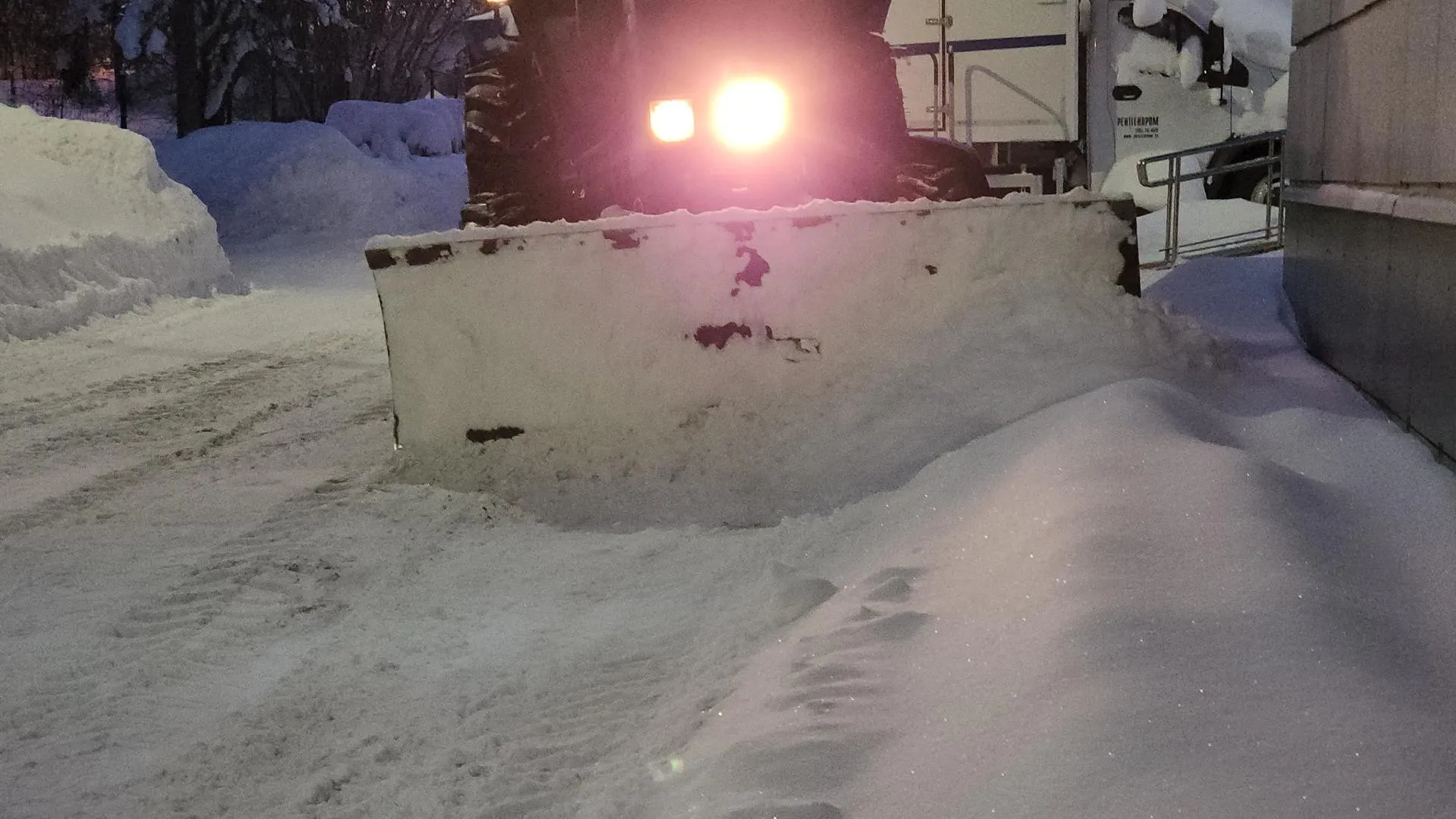 МедиаБанк Подмосковья/Екатерина Данилина