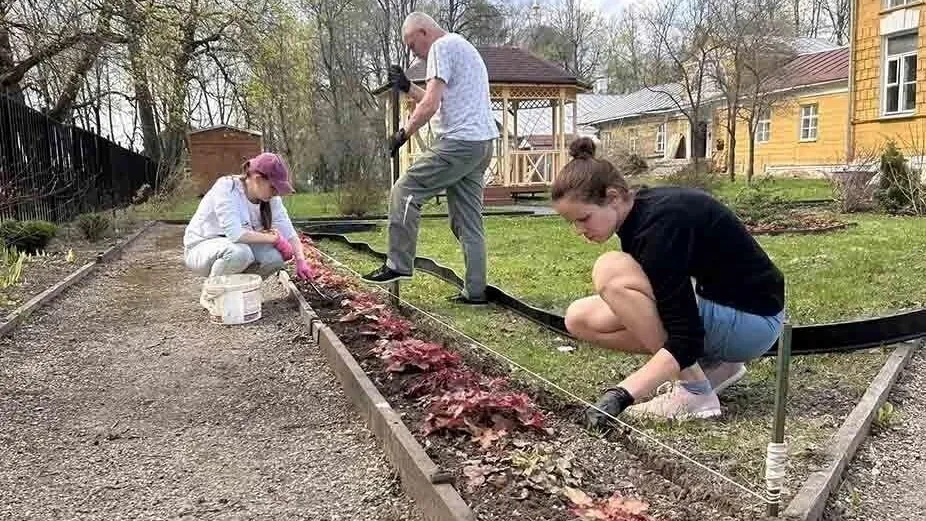Картинка