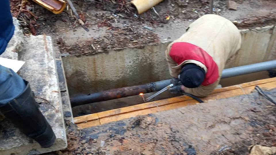 Фото: t.me/sobakin_mn