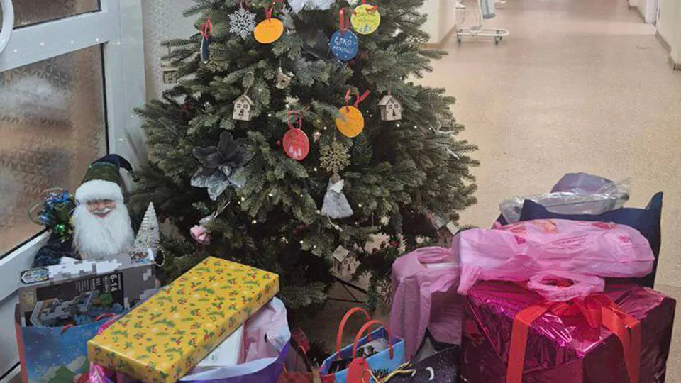 Фото: администрация г.о. Пушкинский