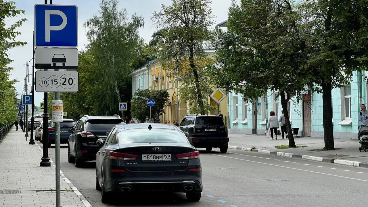 В Подмосковье более 2,4 тыс. многодетных семей получили льготные разрешения на платную парковку