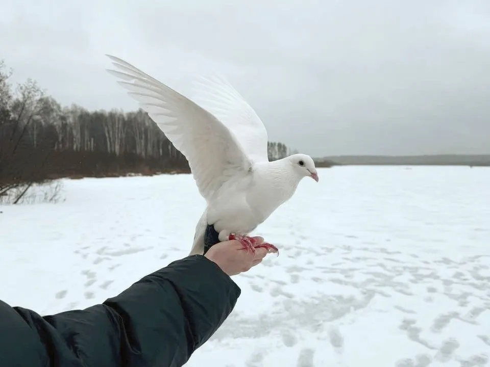 Фото: личный архив Дарьи Милосердовой