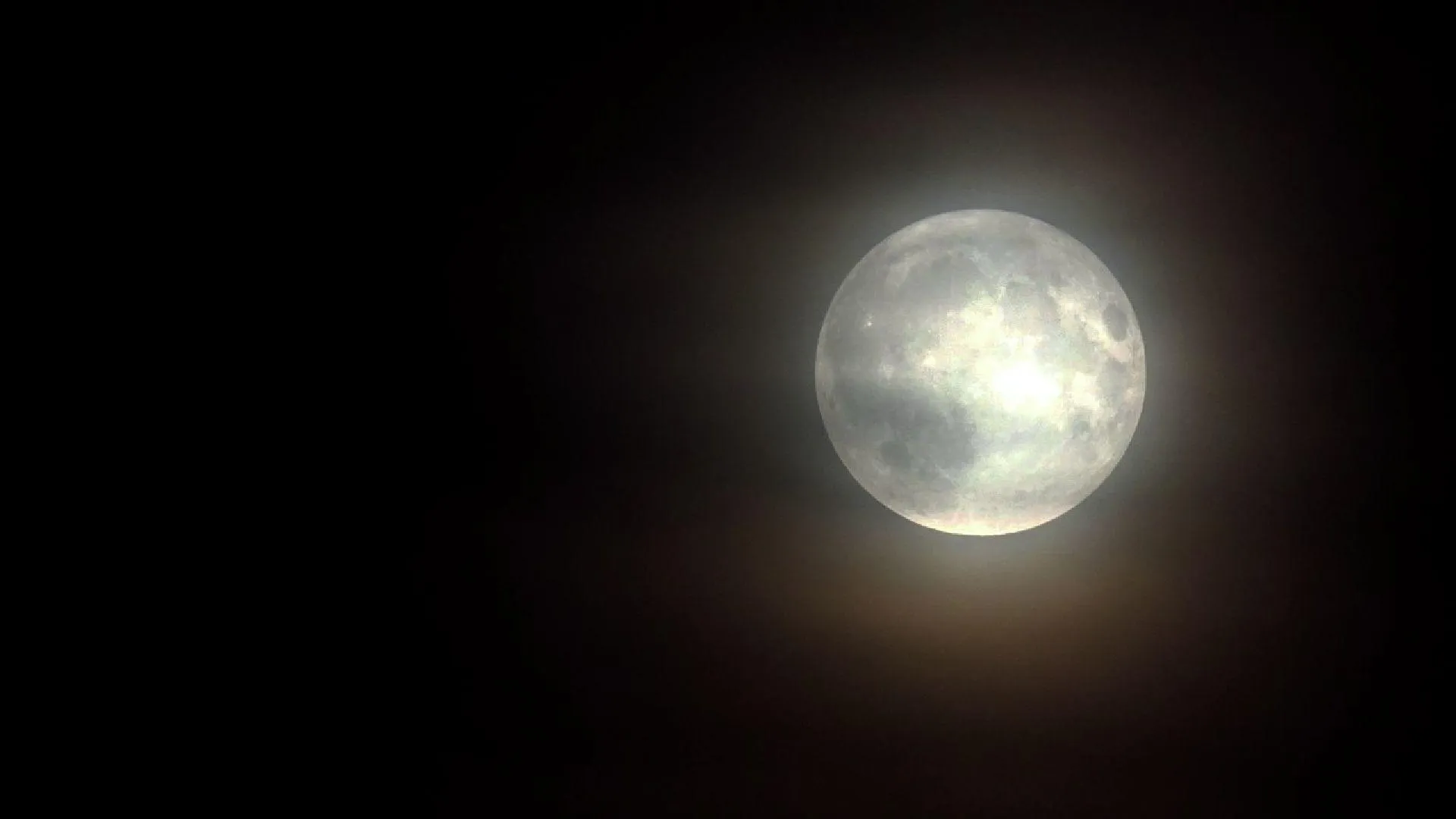 REGIONS/Дарья Леонова