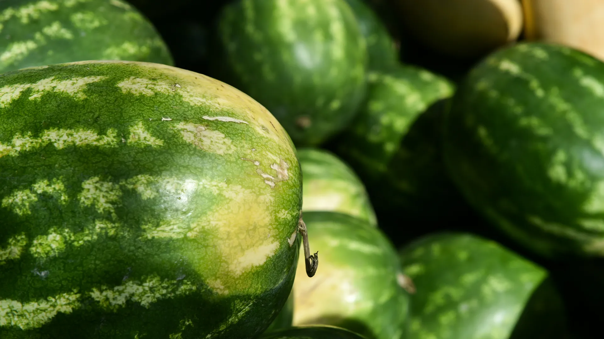 медиасток.рф