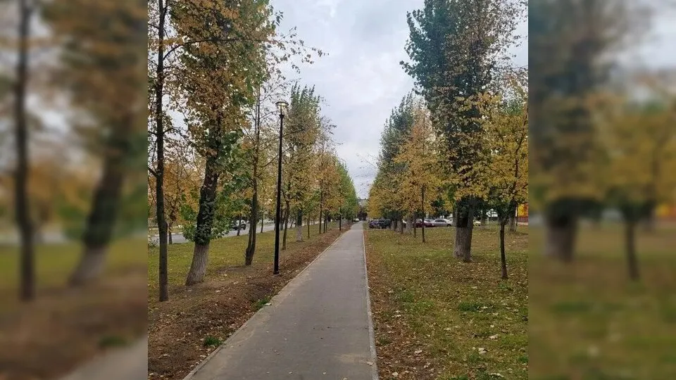 Фото: Министерство благоустройства Московской области