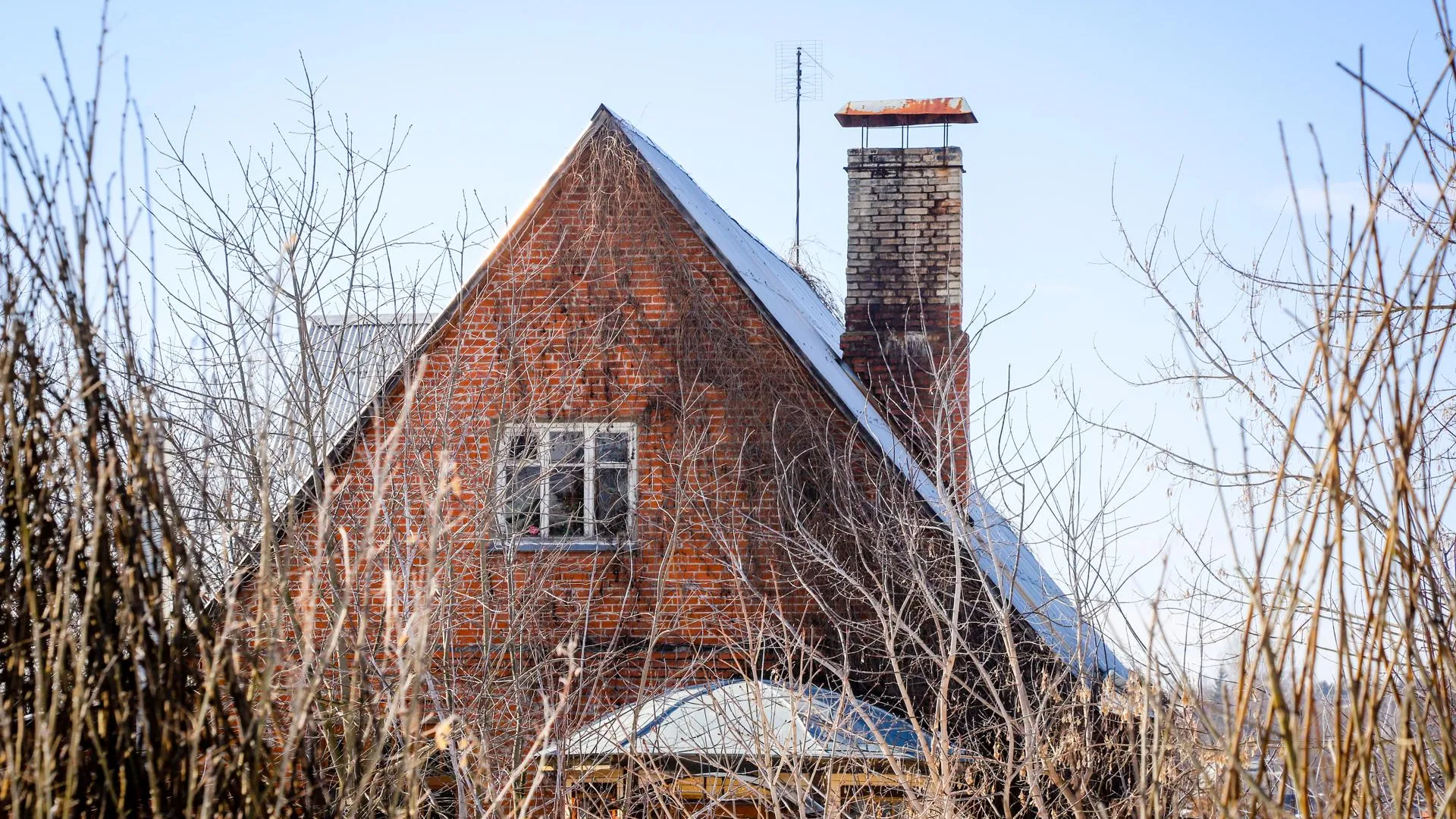 Виталий Ватулин