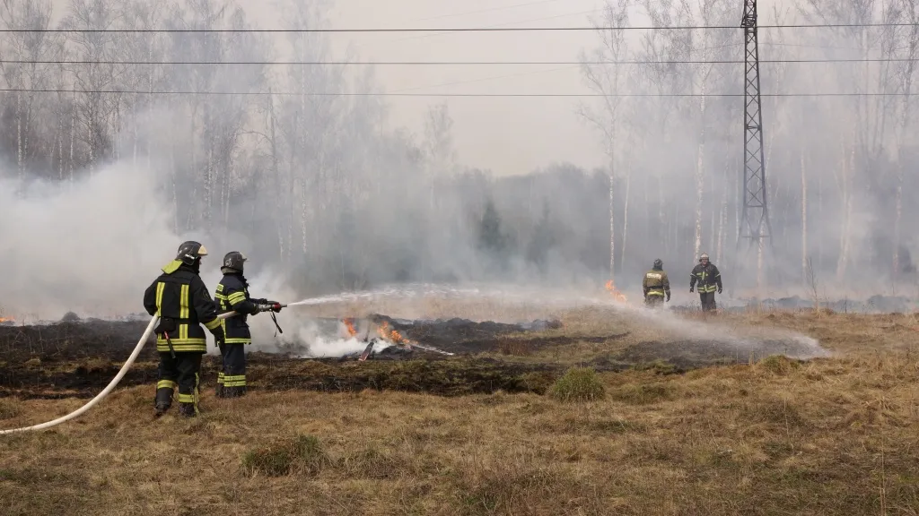 Фото: Медиаархив Московской области