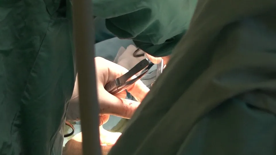 Фото: Наталия Надточая