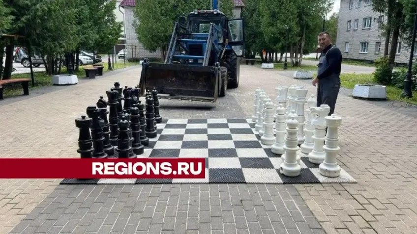 Фото: Ксения Афонина