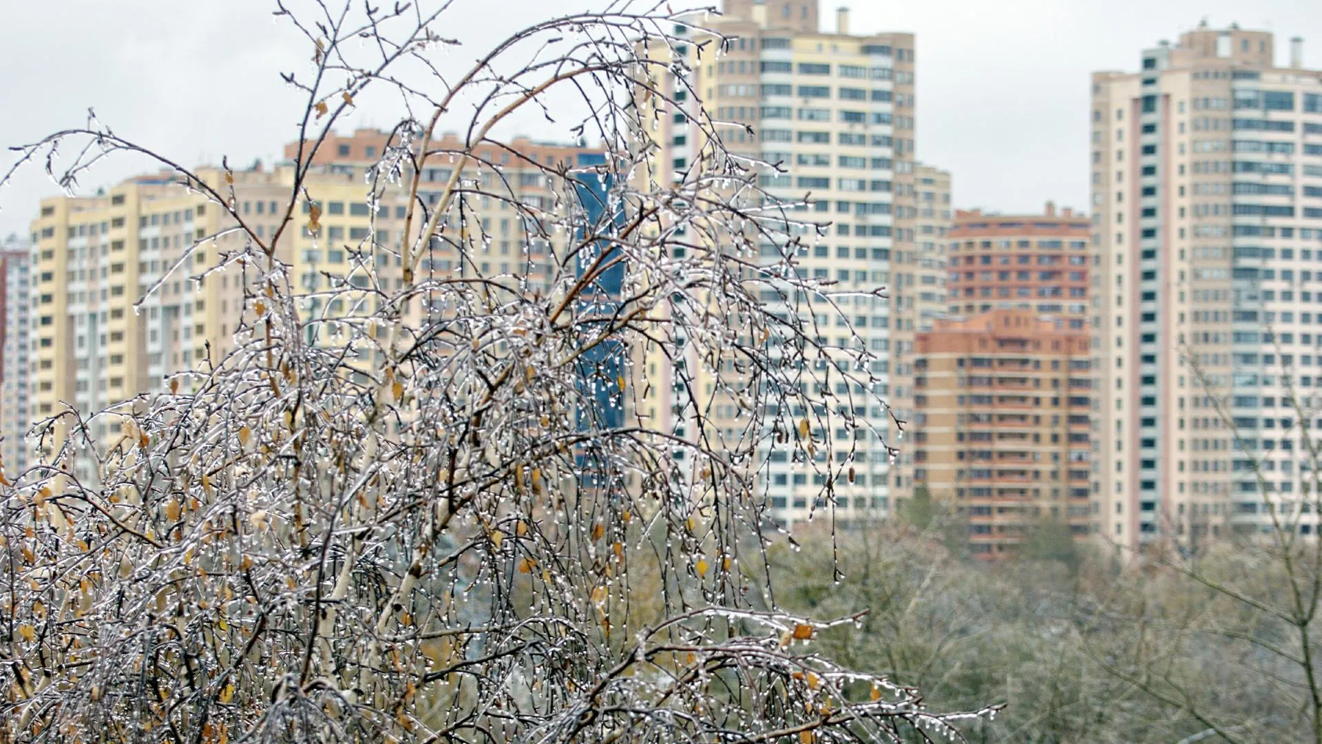 REGIONS/Александр Легкий