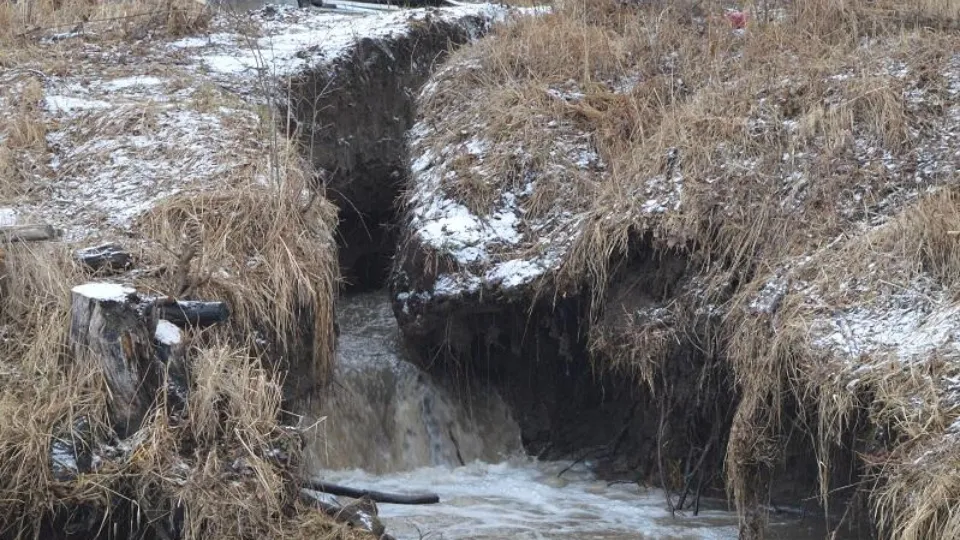 Фото: Министерство экологии и природопользования Московской области