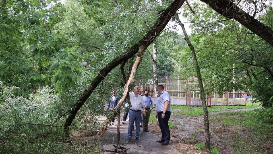 Фото: Пресс-служба администрации городского округа Мытищи