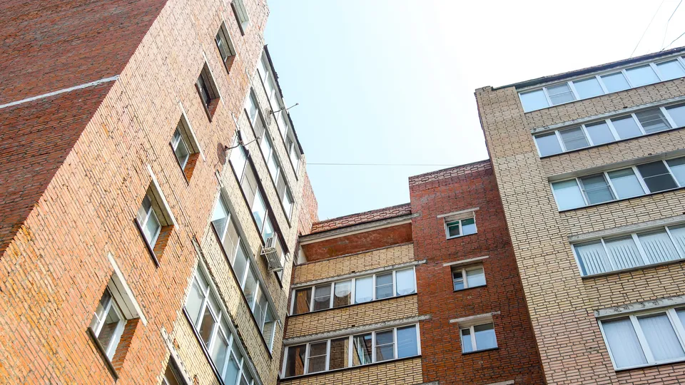 Фото: пресс-служба администрации г. о. Кашира