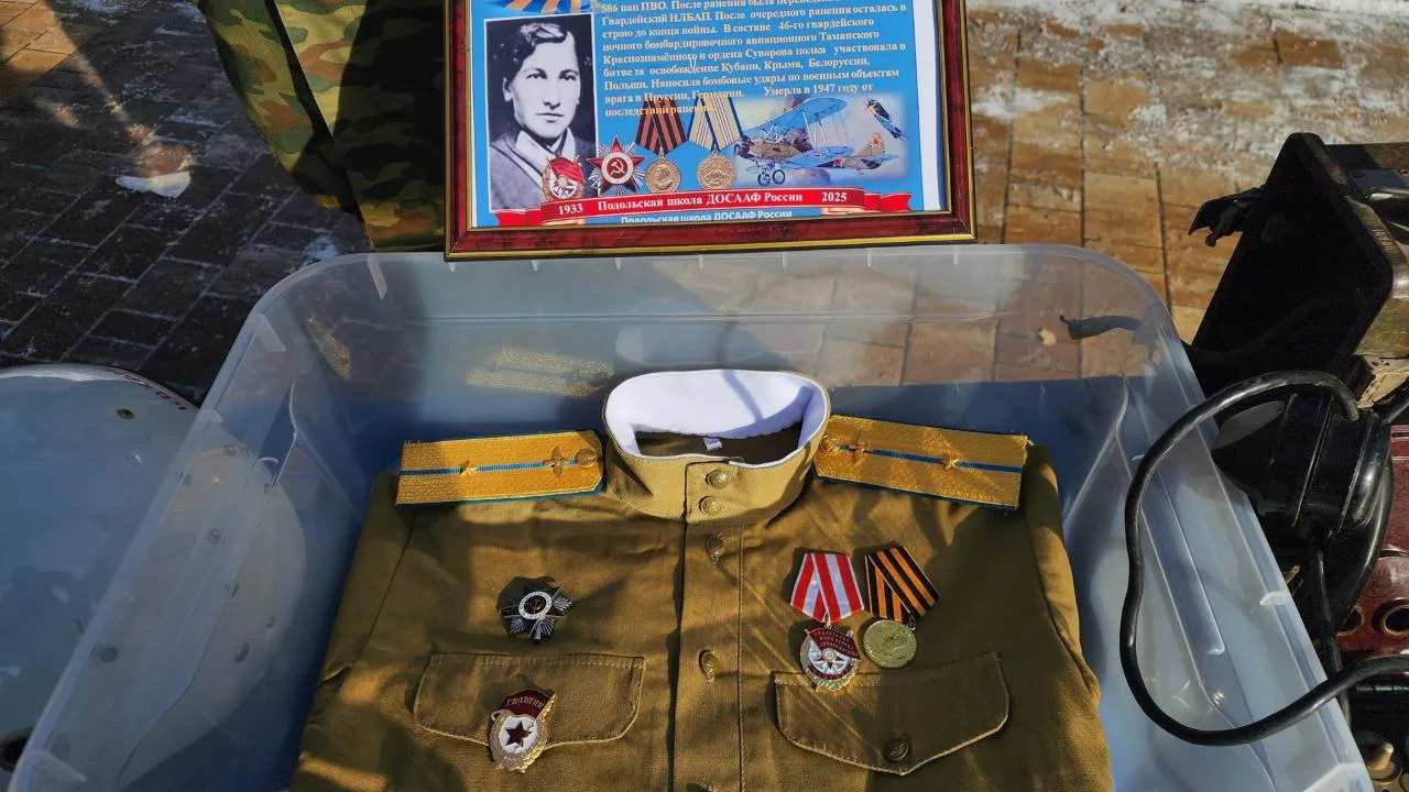 REGIONS/Мария Шигорева