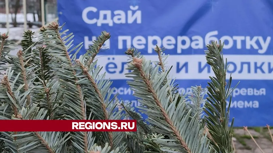 Фото: Юлия Смагринская