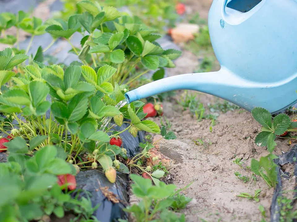 Фото: istockphoto.com