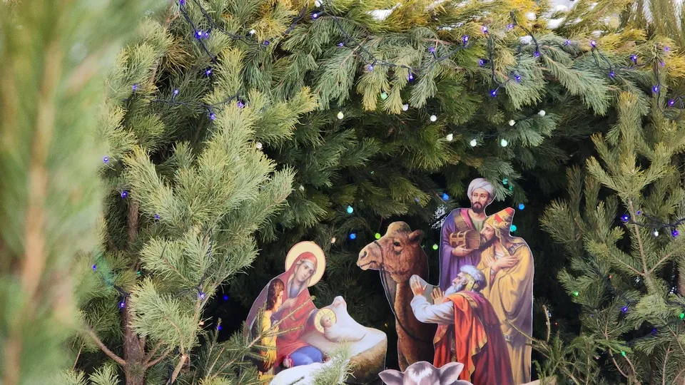 Фото: МедиаБанк Подмосковья/Мария Андрюхина