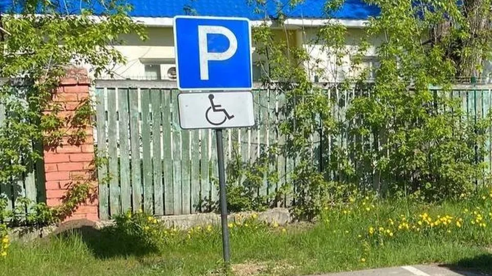 Фото: пресс-служба администрации Орехово-Зуевского г.о.