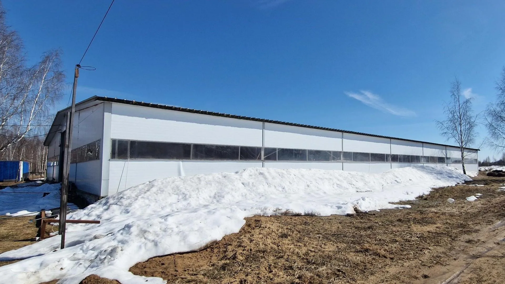 REGIONS/Ольга Шаронова