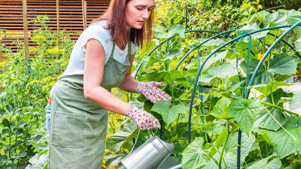 Фото: istockphoto.com