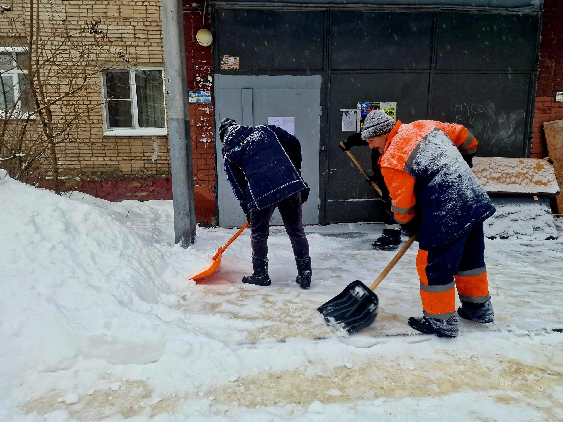 REGIONS/Ольга Шаронова