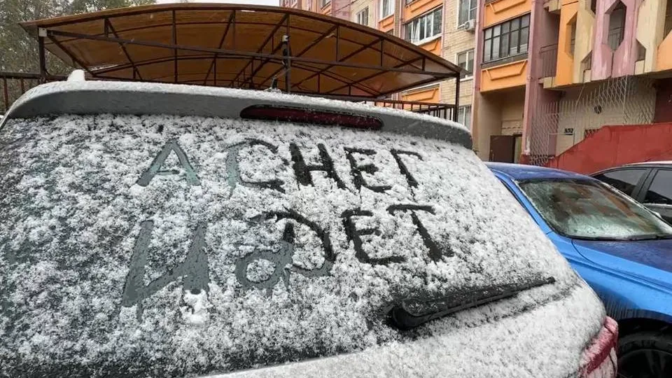 Фото: МедиаБанк Подмосковья/Ксения Казакова