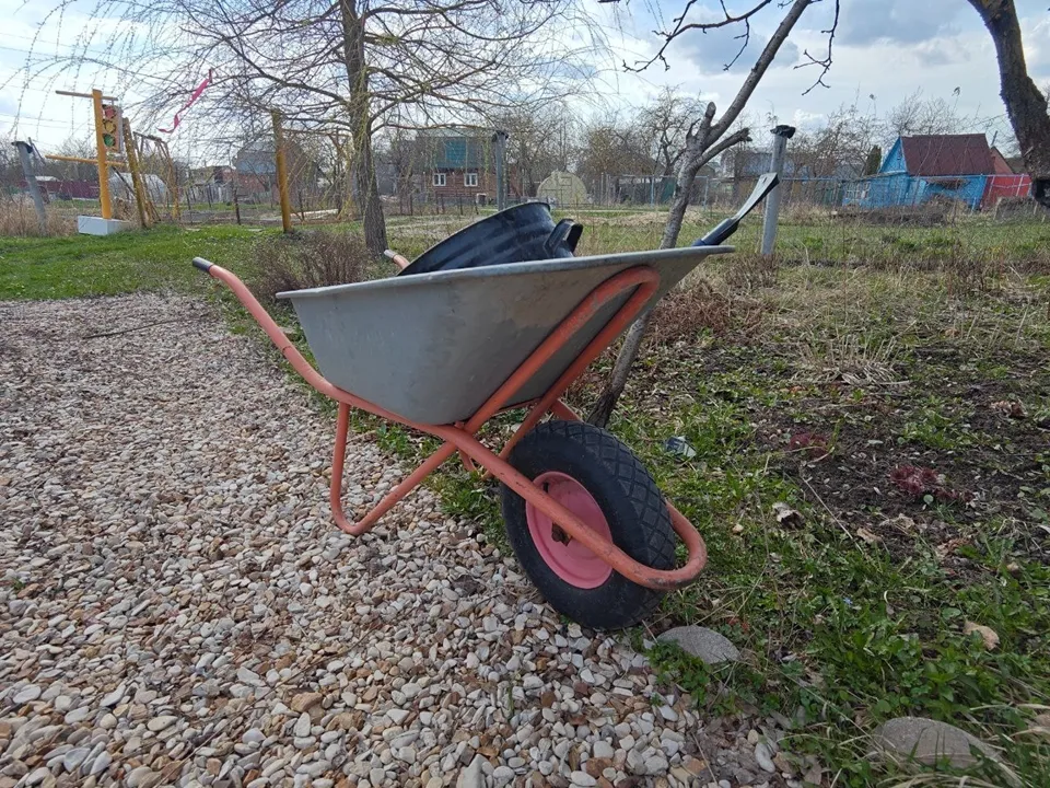 Фото: REGIONS/Алексей Селиверстов