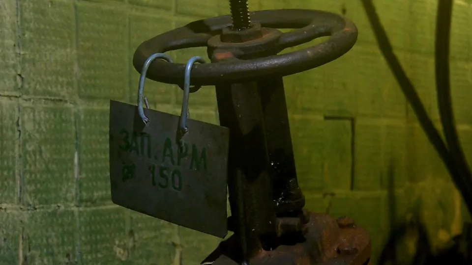 Фото: МедиаБанк Подмосковья/Юлия Андросова