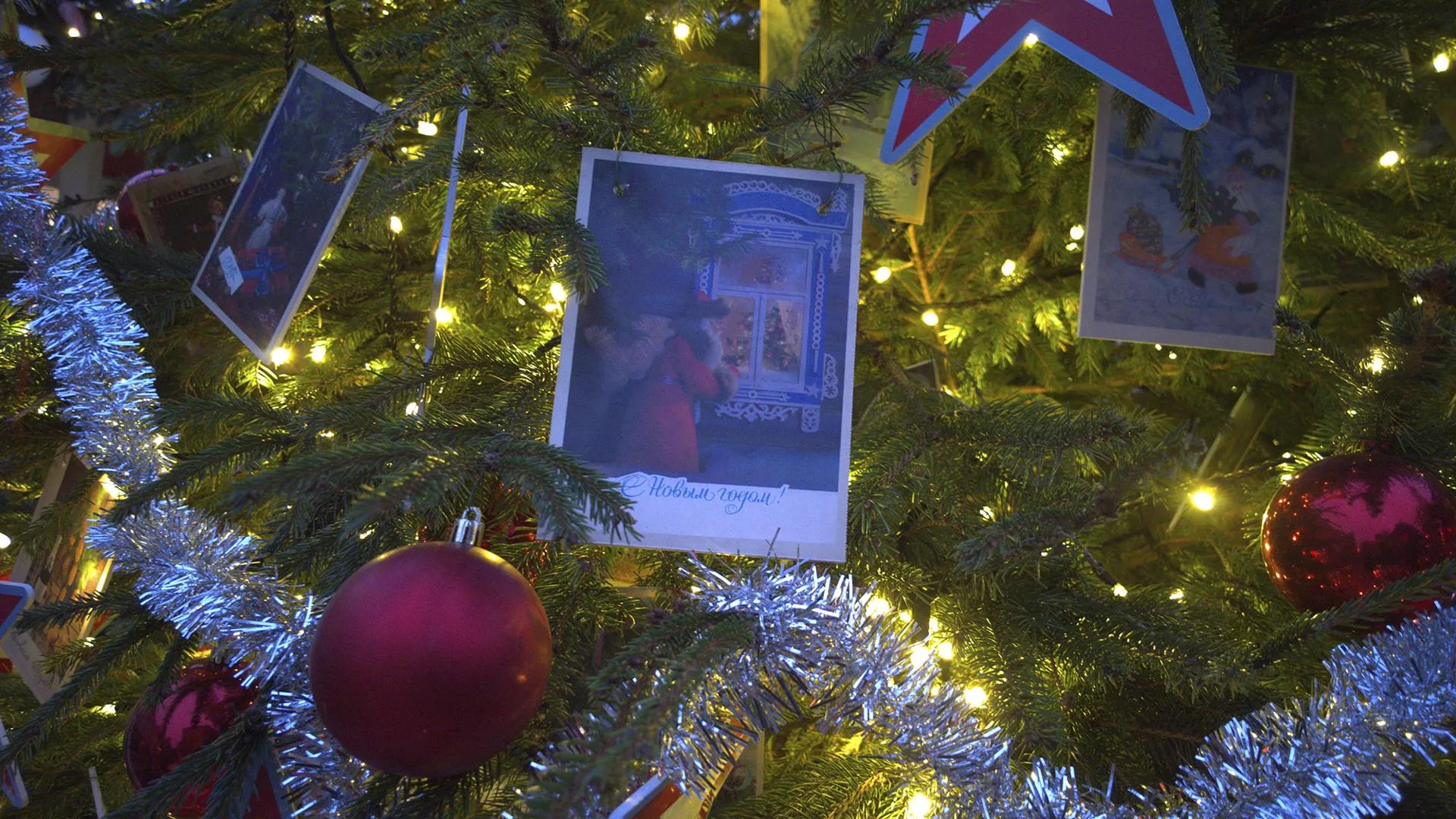 Фото: Евгений Лавряшин