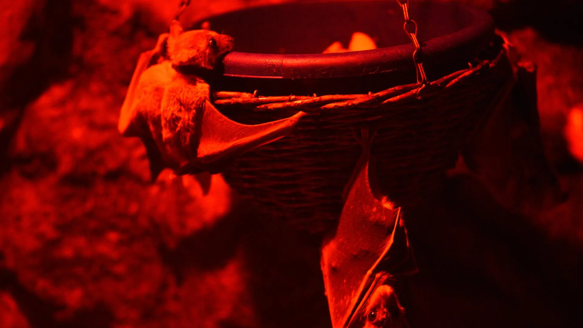 медиасток.рф